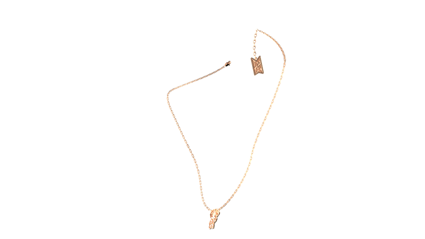 Frank & co’s TinyTAN Gold Necklace (V)